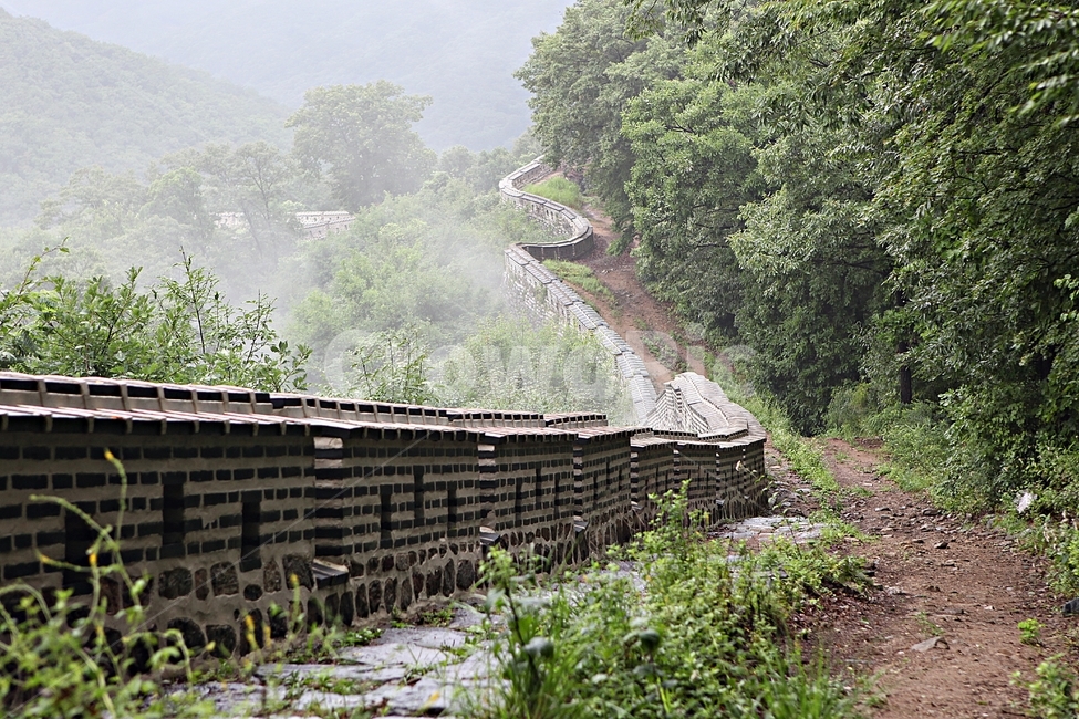 남한산성,성,성곽,길,둘레길,숲,숲길,벽,돌담,담,풍경,여름