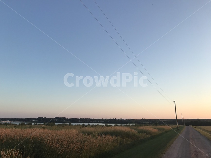 하늘,길,들판,자연,갈대,sky,road,nature,reed,자연,풍경,nature,landscape,도로