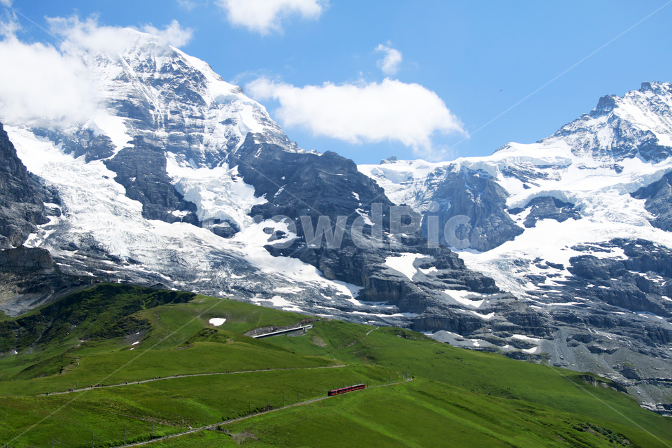 스위스,융플라우,소,산악기차,만년설,자연,풍경,nature,landscape,outdoors,옥외,mountain,산,mountain range,산맥