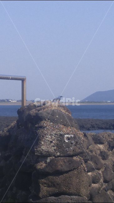 하늘,바다,새,돌멩이,푸름,자연,풍경,nature,landscape,한국자연풍경,한국자연경관,korea nature landscape,제주도,jeju,jeju island,동물,animal,조류,새,birds,bird,promontory,곶