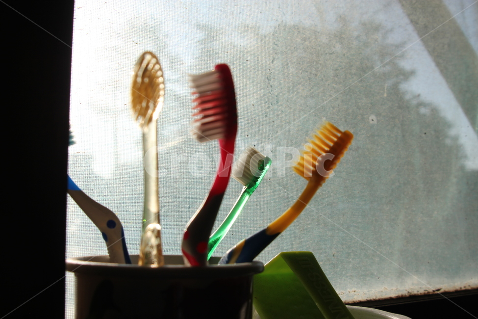 수단,tool,toothbrush,brush,칫솔