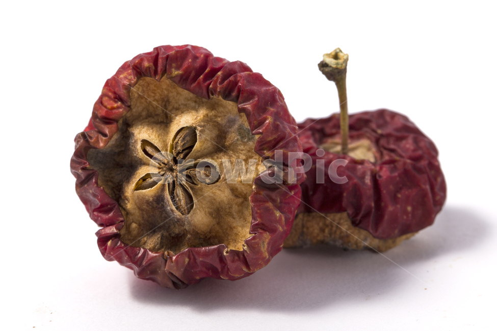 사과,애플,씨앗,레드,빨강,건조,썩은과일,썩은사과,과일,열매,fruit