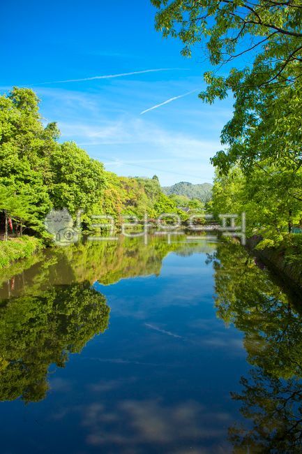 일본,교토,japan,kyoto,아라시야마,water,물,nature,자연,outdoors,옥외,저수지