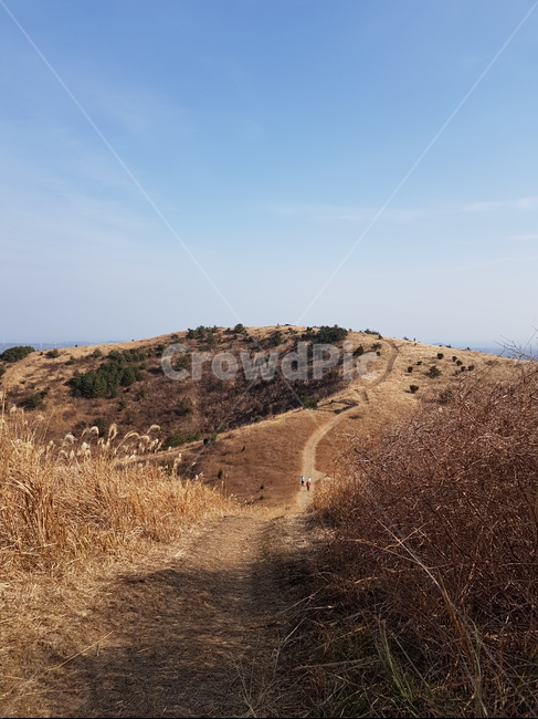 따라비오름,오름,제주도오름,제주오름,갈대밭길,제주도,jeju,jeju island,road,도로,gravel,자갈,dirt road,흙길,ground,바닥,outdoors,옥외,nature,자연