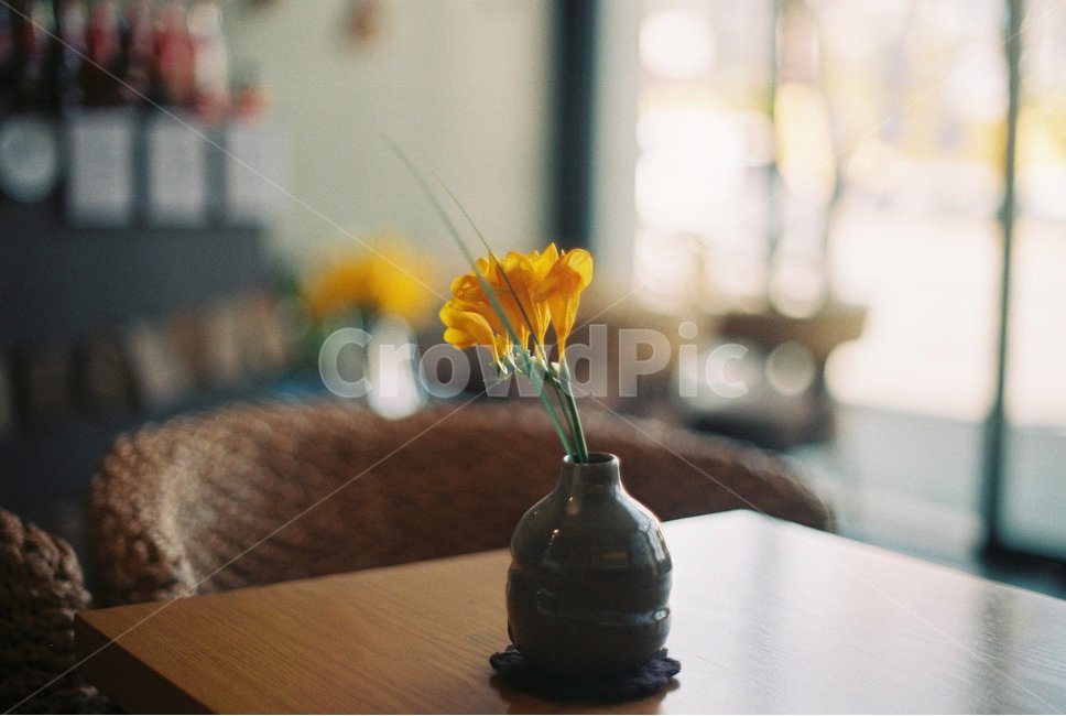 꽃병,노란꽃,아웃포커싱,화분,카페,한적함,차분함,고요함,테이블,책상,식물,자연,plants,nature,꽃,flower,실내용화초,화분,화초,house plant,감성,sensible,feeling,인테리어,실내디자인,interior design