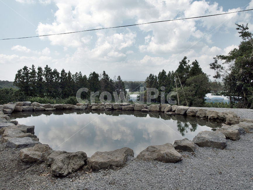 연못,거슨새미,샘물,올레4코스,올레길,제주,서귀포시,자연,풍경,nature,landscape,한국자연풍경,한국자연경관,korea nature landscape,제주도,jeju,jeju island,fir,전나무,tree,나무,plant,식물,abies,아비,water,물,dirt road,흙길,road,도로,gravel,자갈