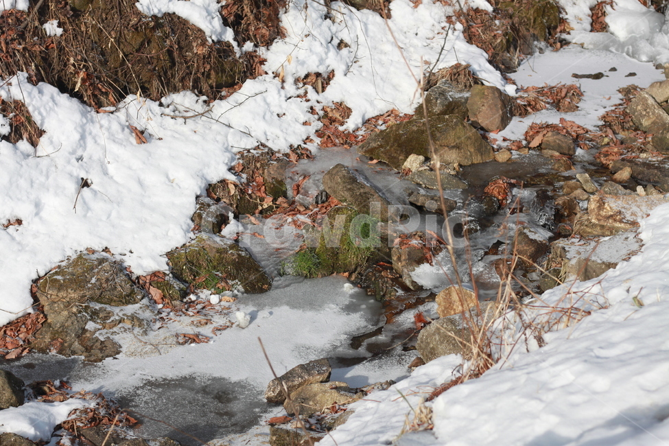 자연,시냇물,겨울,얼음,냇물,계곡,겨울,계절,winter,season