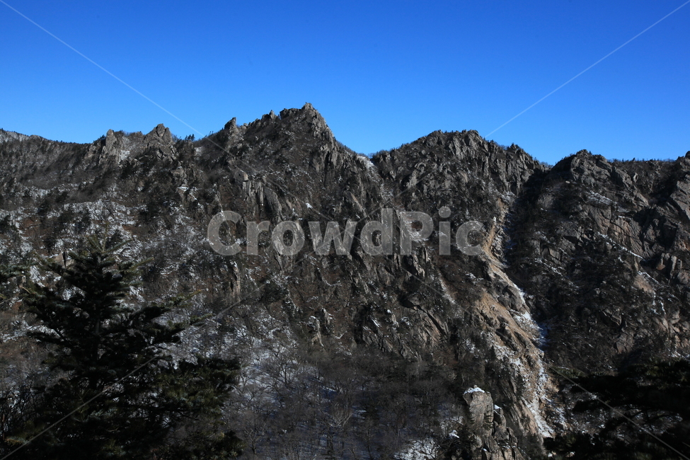 설악산,겨울산,파란하늘,겨울나무,능선,대청봉,겨울산행,등산,겨울,계절,winter,season,자연,풍경,nature,landscape,mountain,산,mountain range,산맥,outdoors,옥외,peak,피크