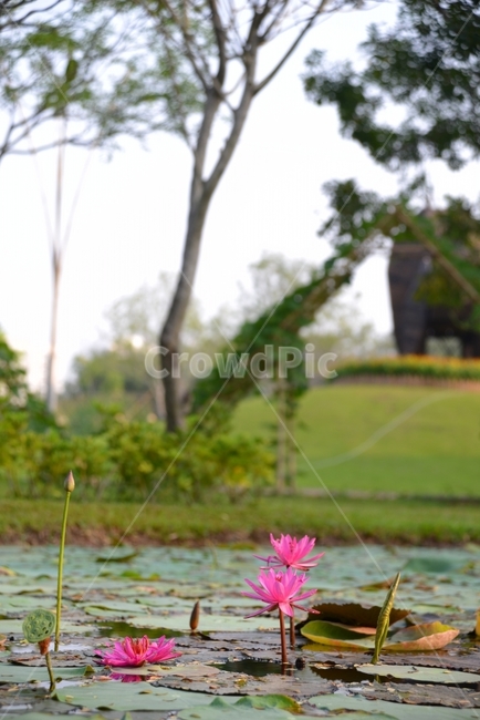 자연,풍경,꽃,자연풍경,감성사진,식물,자연,plants,nature,꽃,flower
