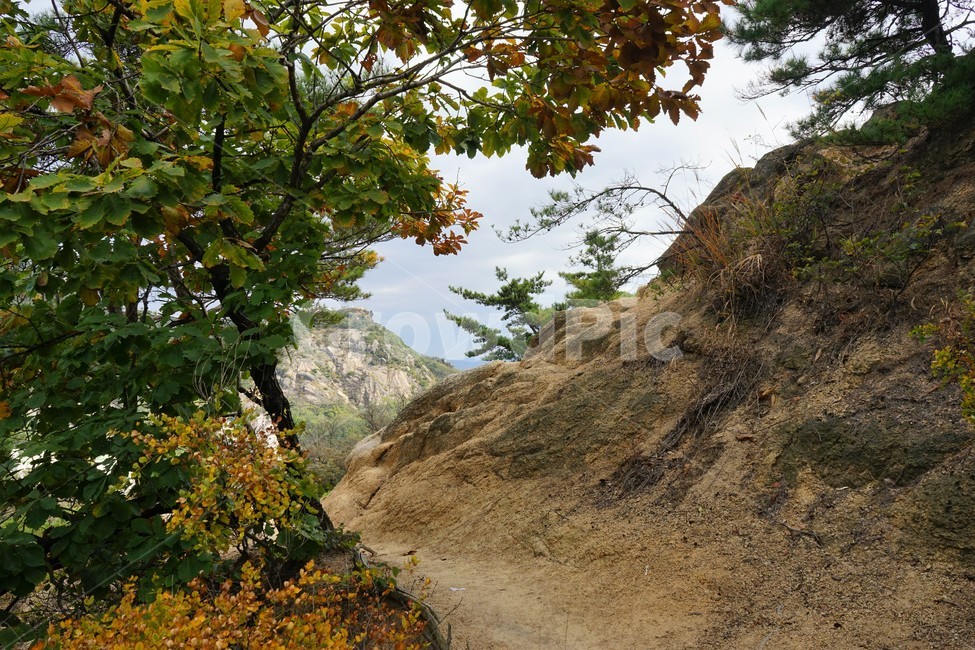산,나무,숲,자연,녹새,하늘,파란,가을,mountain,trees,forest,바위,rocks,granite,안산,서대문,자연,풍경,nature,landscape,tree,plant,식물,leaf,잎