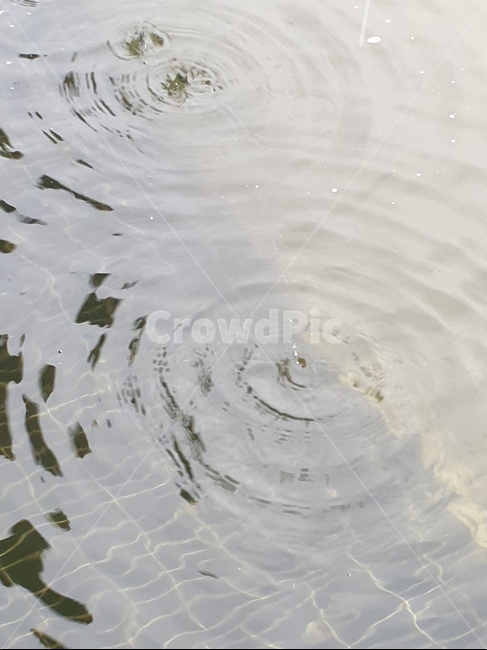 물,리플,물결,물방울,파장,ripple,자연,풍경,nature,landscape,water,outdoors,옥외