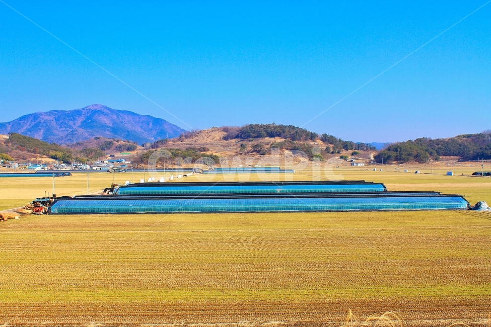 평야,비닐하우스,벌판,광활한,넓은들판,시골,마을,풍경,landscape,country,rural,town,산업,industry,industrial,농업,농사,agriculture,farming,farming industry