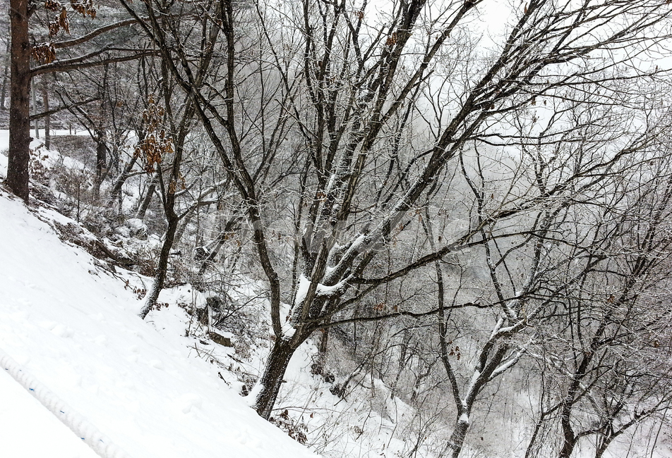 눈,겨울산,백설,겨울숲,눈밭,겨울,계절,winter,season,자연,풍경,nature,landscape,outdoors,옥외,snow,blizzard,눈보라,storm,폭풍