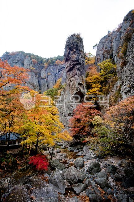 주왕산,산,단풍,풍경,아름다운,다양한,나무,숲,바위,암석,하늘,가을,경관,경치,자연