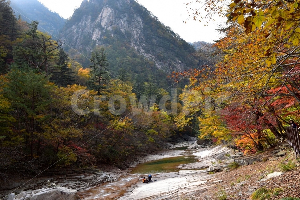 설악산,가을,단풍,풍경,백담사,구곡담계곡,수렴동계곡,계곡풍경,오색단풍,가을색,폭포풍경,가을비경,자연,스포츠,등산,산행,nature,느낌,아름다운,다큐,필,계절,디자인,힐링,명산,국립공원,순백,트레킹,단풍잎,오색,칼라풀,뷰티플,단풍터널,단풍숲,산객,등산객,그림같은,감성,절경,자연,풍경,nature,landscape,가을,계절,fall,autumn,season,water,물,tree,나무,plant,식물,outdoors,옥외