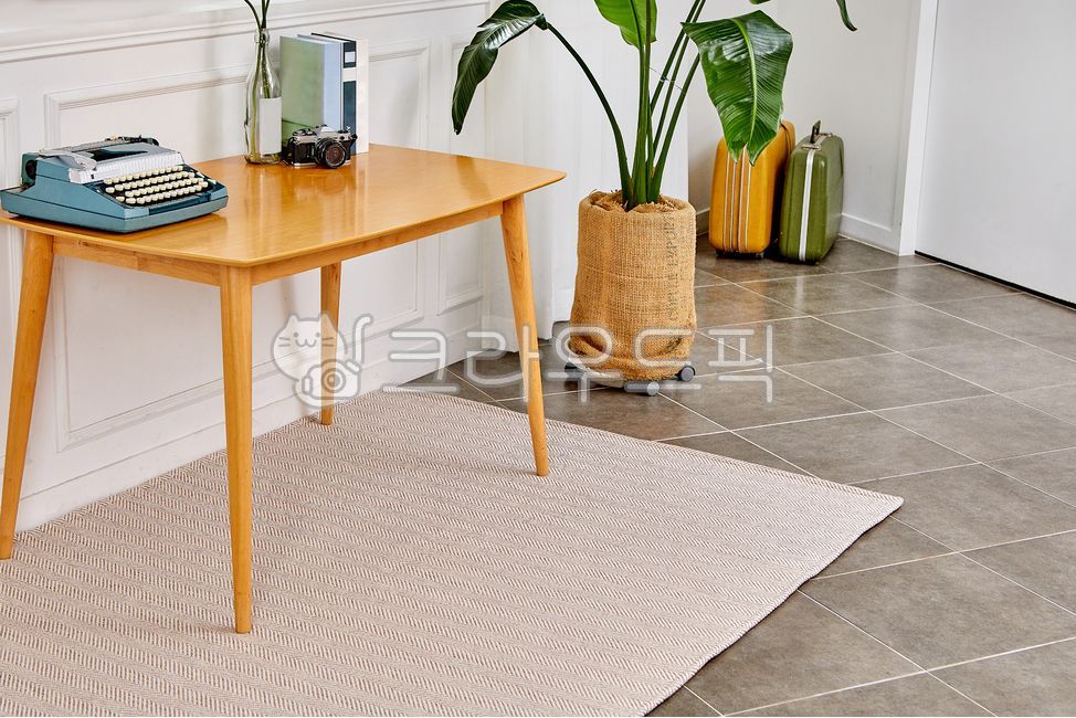studio,carpets,flooring,livingrooms,rug,interioraccessories,lugs,flowerpots,inside,house,tables,floors,pot,furniture,living room,indoors,houses,wood,floor,table,keyboard,interiorinterior,interior props,lifestyle,flower,flooringmaterials,one room,solid woo
