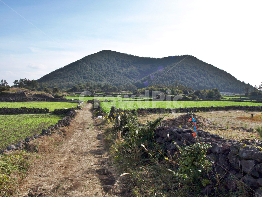 지미봉,밭길,올레21코스,올레,제주,올레길,돌담,오름,기생화산,리본,자연,풍경,nature,landscape,한국자연풍경,한국자연경관,korea nature landscape,제주도,jeju,jeju island,outdoors,옥외,hill,언덕