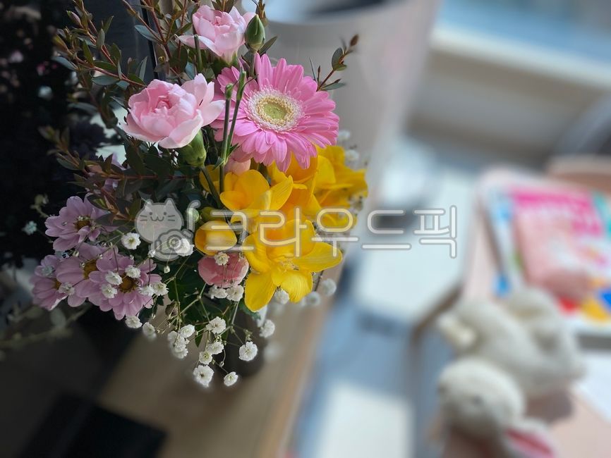프리지아,식물,꽃,화분,flowerarrangement,flowerbouquet,flower,꽃다발,blossom