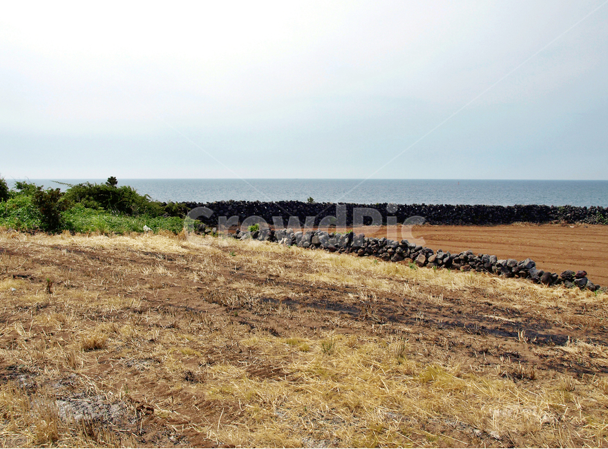 돌담,올레17코스,올레,제주,밭,작물,바다,자연,풍경,nature,landscape,제주도,jeju,jeju island,ground,바닥,road,도로,gravel,자갈,dirt road,흙길,outdoors,옥외,land,땅