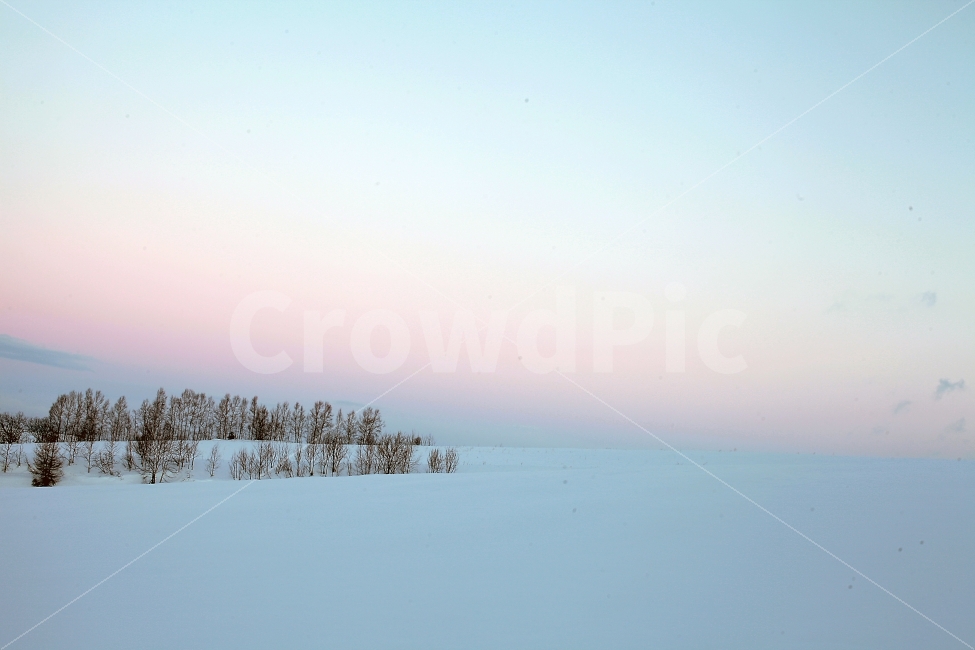 자연,풍경,자연풍경,설원,설경,눈,겨울,겨울,계절,winter,season,자연,풍경,nature,landscape,색깔,색상,색채,색감,color sense,color sensitivity,feeling of color,outdoors,옥외,tree,나무,plant,식물,fir,전나무