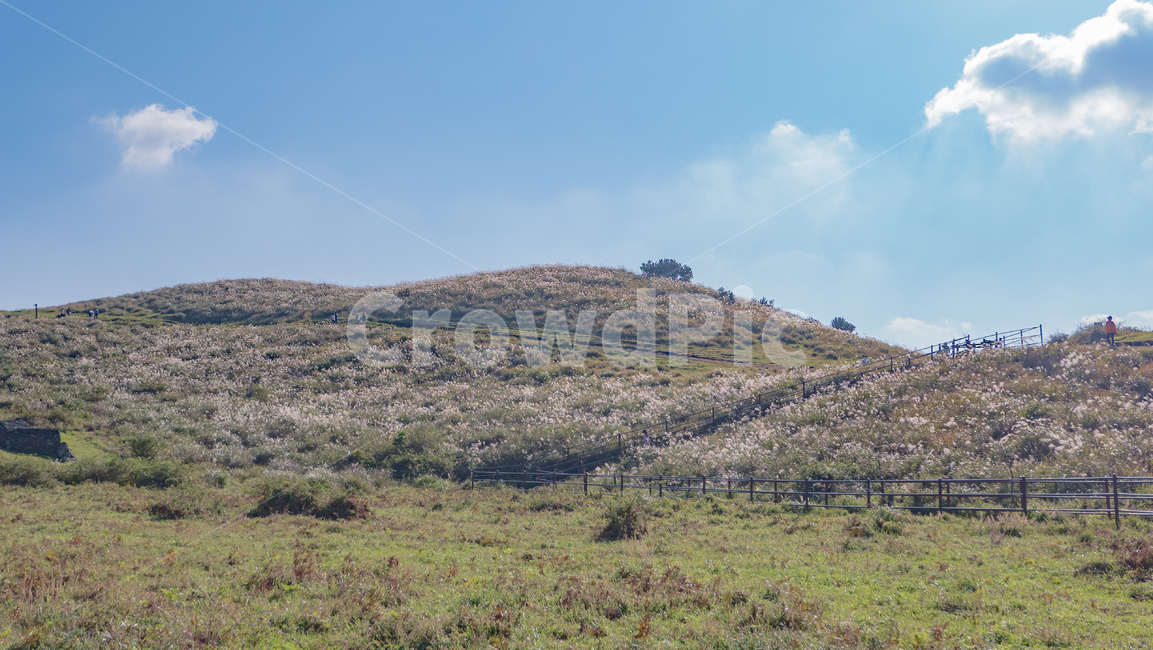 용눈이,용눈이오름,오름,orum,jeju,제주,제주도,제주오름,가을제주,가을,풍경,landscape,grassland,목초지,field,들,outdoors,옥외,nature,자연,자연,풍경,nature,landscape