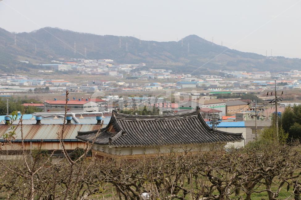 공장,절,절지붕,공장들,시골,개발된,촌,환경오염,자연파괴,과수원,나무들,나무,오래된,열악한,열악한환경,황폐한,도시,풍경,city,landscape,roof,지붕,outdoors,옥외,경치,nature,자연,scenery