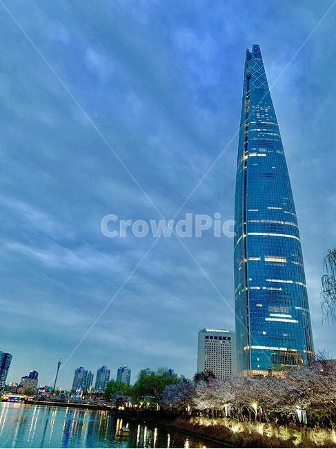 잠실,석촌호수,벚꽃,벚꽃축제,야경,한국도시풍경,night,landmark,한국명소,한국관광지,봄,경치,도시,풍경,city,landscape,한국도시풍경,한국도시경관,korea cityscape,랜드마크,landmark,tourist attraction,한국랜드마크,한국관광지,한국명소,korea landmark,korea tourist attraction,building,건물,steeple,뾰족한 탑,spire,첨탑,tower,탑,architecture,건축물