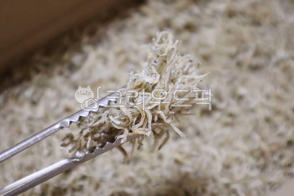 일반멸치,말린생선,멸치,야생동물,매우작은,마른,요리,재료,동물,바다,자연,식사,물고기,건강한,요리재료