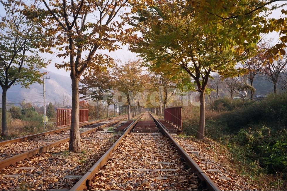 필름,감성,기찻길,철로,가을,풍경
