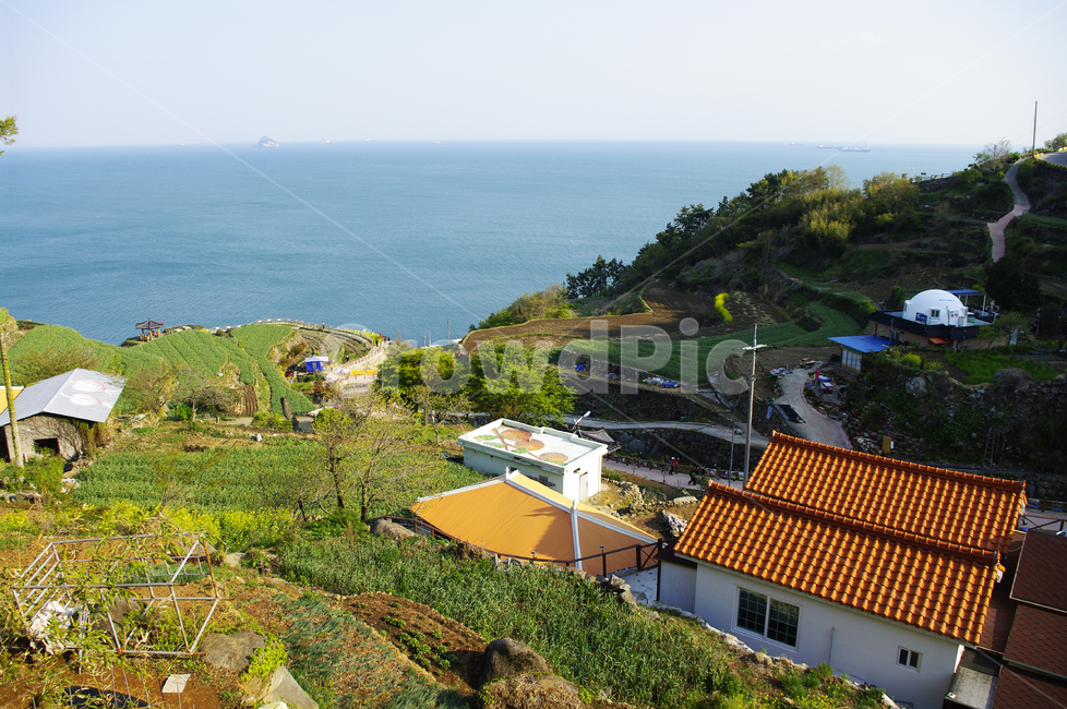 남해,가천마을,다랑이마을,다랑이,풍경,나무,바다,논,마을,시골,마을,풍경,landscape,country,rural,town