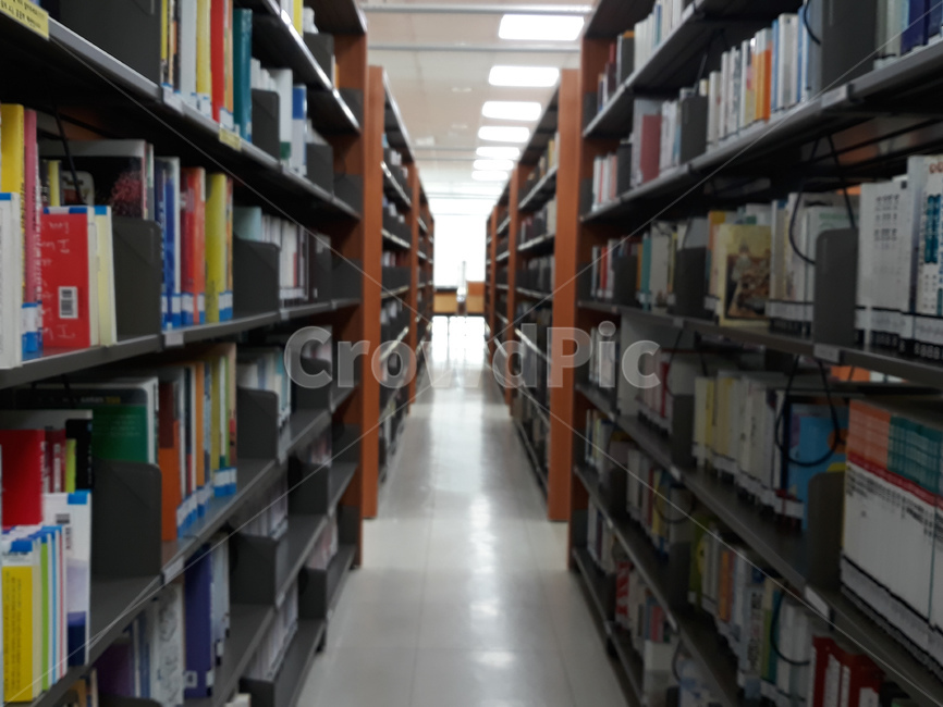 도서관,책,책장,서가,library