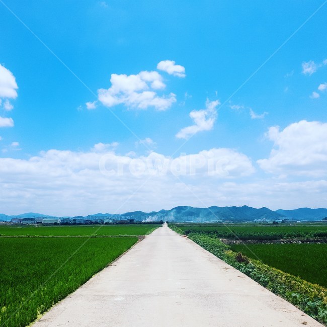 road,도로,농촌,시골,하늘,구름,맑은하늘,파란하늘