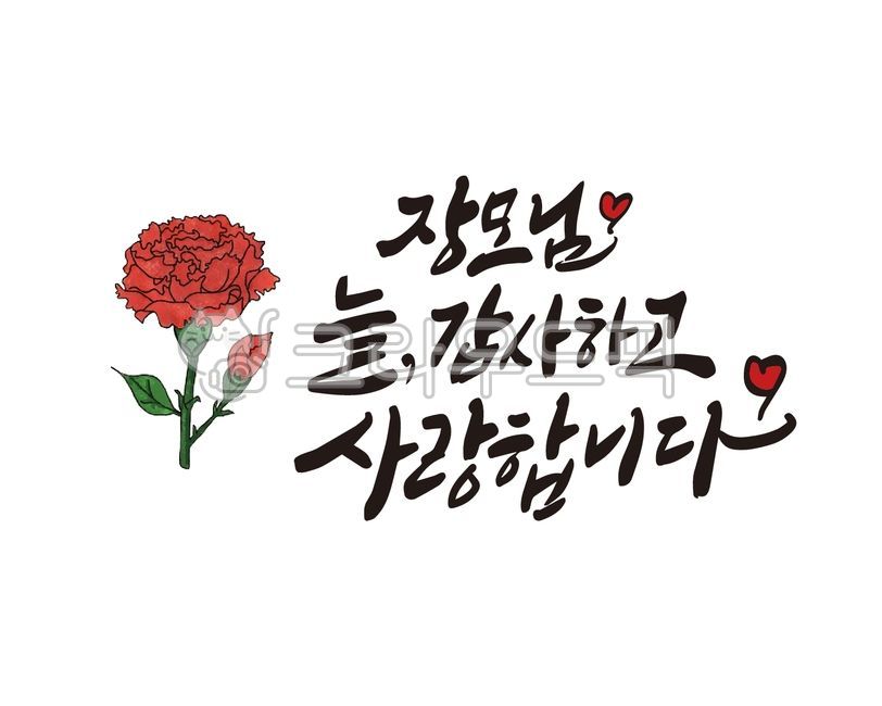 어버이날,부모님,카네이션,어머니,아버지,엄마,아빠,가정의달,용돈,용돈봉투,꽃바구니,선물,감사선물,감사메시지,디자인,디자인소스,캘리,캘리그라피,손글씨,붓글씨,카내이션,캘리그라피,손글씨,calligraphy