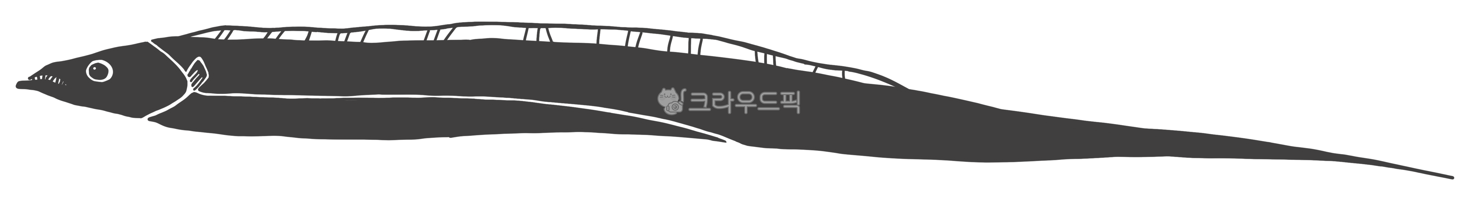 갈치,갈치일러스트,은갈치,생선,생선일러스트,수산물,바다,제주갈치