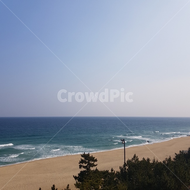 바다,동해,겨울바다,해변,모래사장,파도,해변,바다,beach,sea
