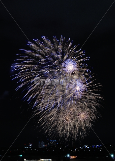 nature,자연,outdoors,옥외,불꽃축제,야경,밤,풍경,nightscape,night,landscape,축제,행사,festival,carnival,event