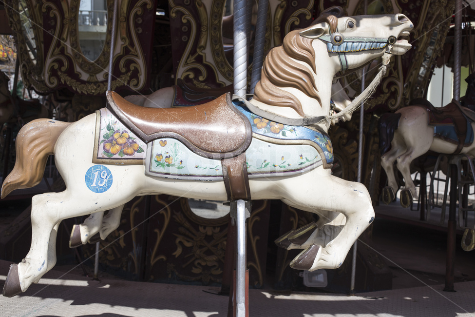 회전목마,목마,말,놀이기구,놀이동산,용마랜드,놀이공원,놀이동산,놀이터,amusement park,playground
