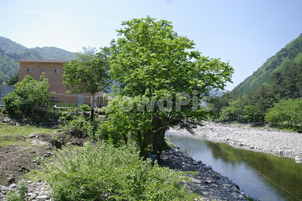 강,나무,풍경,산,돌,자연,풍경,nature,landscape,outdoors,옥외,tree,plant,식물