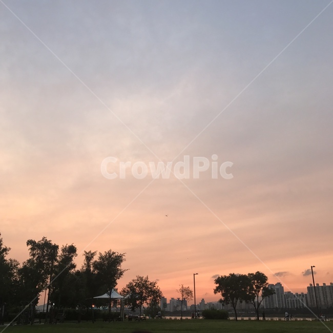 한강공원,노을,잠실,공원,노을지는공원,자연,풍경,nature,landscape,grass,잔디,plant,식물,outdoors,옥외