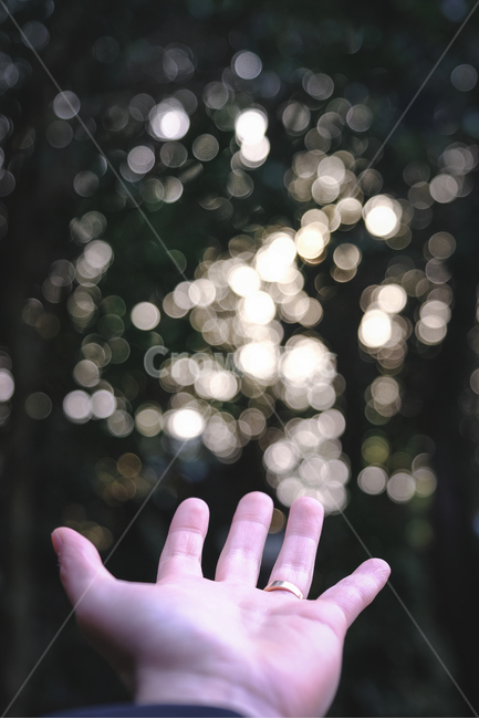 보케,색감,color,bokeh,제주도,snap,스냅,보케사진,여행,trip,tree,park,공원,곶자왈,빛,light,사람,인물,인간,human,person,신체일부,몸,body,감성,sensible,feeling,휴식,힐링,rest,relaxation,healing