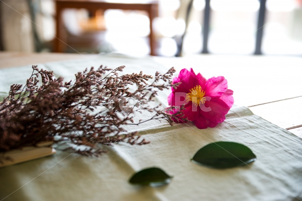 꽃,감성,테이블,스냅,햇살,빛,하얀,꽃,flower,인테리어,실내디자인,interior design