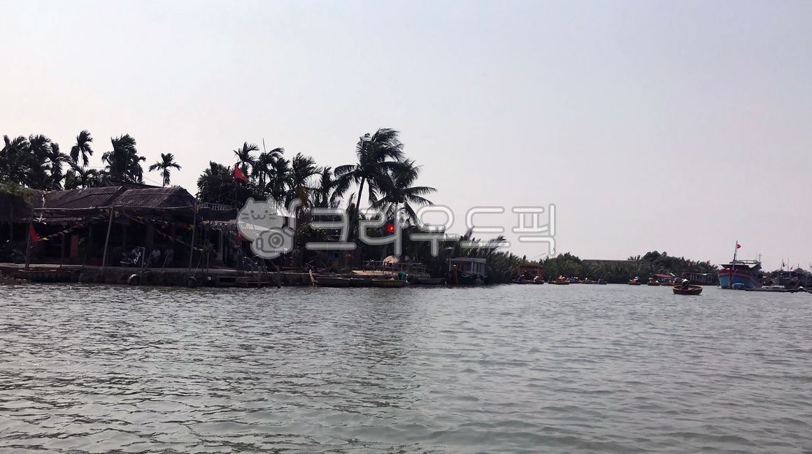 호이안,뗏목,배,바구니,바구니배,보트,강,hoian,river,basket,boat