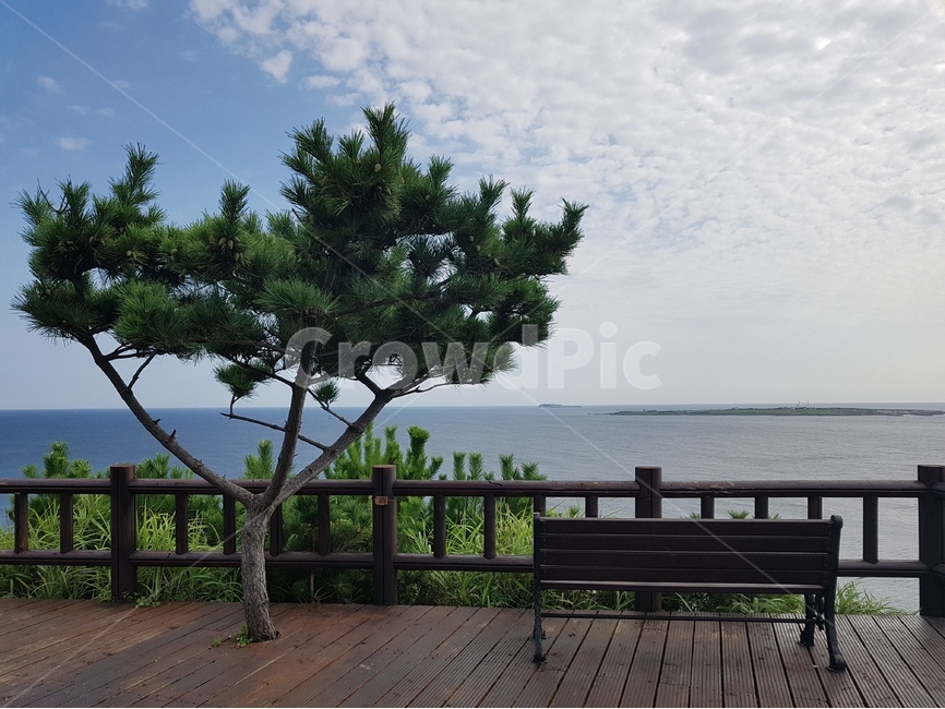 하늘사진,바다사진,맑은하늘,바다,하늘,구름,바다풍경,자연,풍경,nature,landscape,한국자연풍경,한국자연경관,korea nature landscape,식물,plants,나무,trees,wood,휴식,힐링,rest,relaxation,healing,furniture,가구,bench,벤치