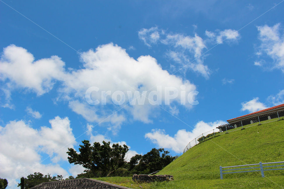 field,들,grassland,목초지,outdoors,sky,하늘,meadow