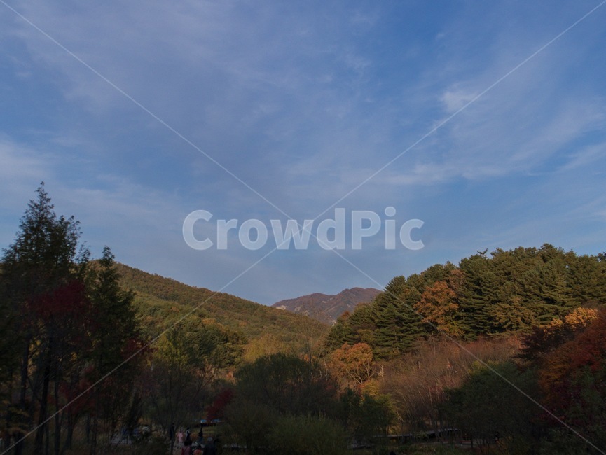하늘,나무,산,자연,풍경,가을,landscape,nature,outdoors,단풍,가을,계절,fall,autumn,season,자연,풍경,nature,landscape,옥외