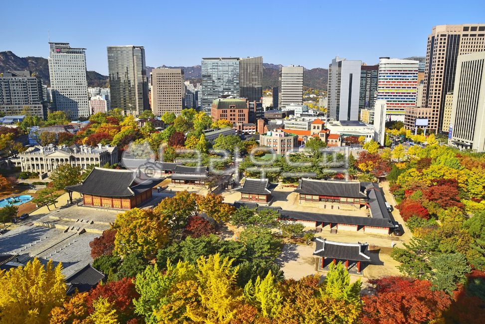 덕수궁,조감도,가을,고궁,한국자연경관,urban,도시,town,city,시티,building,건물,metropolis,중심지,outdoors,옥외,nature,자연,downtown,도심,건축물,고층빌딩,빌딩가,서울,기업,회사,대기업,칼라풀,한국전통,건축양식