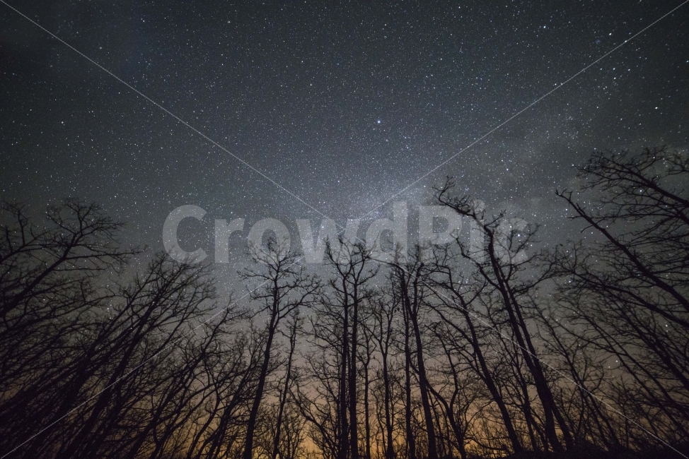 별,별사진,반짝,밤하늘,은하수,자연,풍경,nature,landscape,야경,밤,nightscape,night,outdoors,옥외