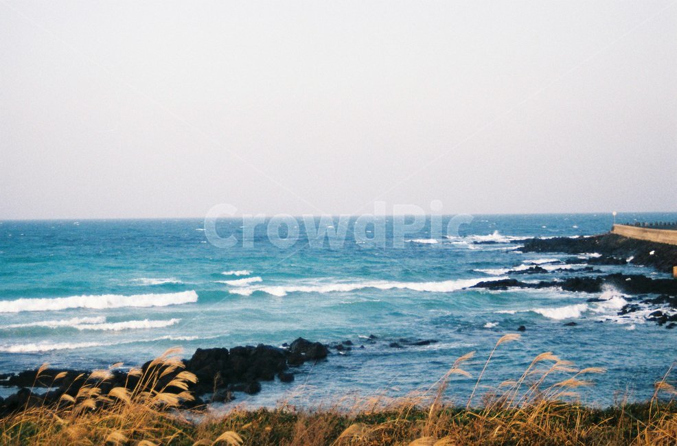제주도,jeju,바다,제주바다,sea,ocean,outdoors,nature,자연,억새,현무암,필름,필름사진,film