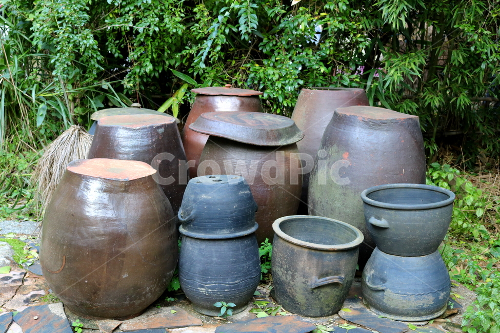 항아리,장독,장독대,옹기,전통,자연,나무,식물,한국전통,한국문화,korean traditional,korean culture