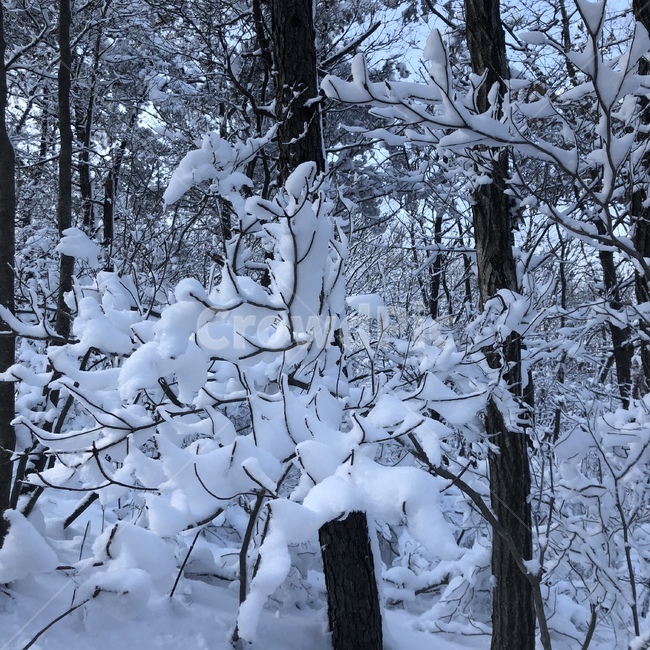 자연,풍경,설산,겨울산,겨울풍경,산,겨울,눈,눈덮인산,자연풍경,하얀색,하얀,흰,mountain,snowcovered